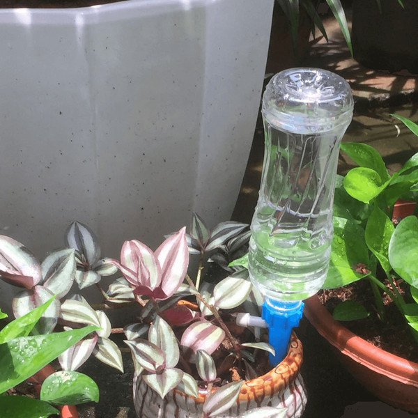 plantwaterfunnel4.png