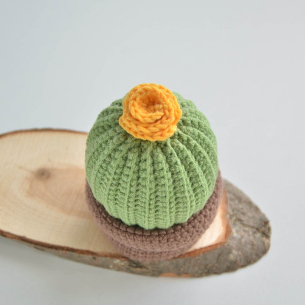 Mini cactus crochet pattern