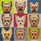 yorkshire terrier quilt.jpg
