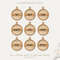 Rattan Circle ornaments svg2.jpg