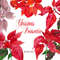 Etsy Christmas  Poinsettia cover_1.jpg