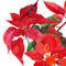 Etsy Christmas  Poinsettia cover_3.jpg