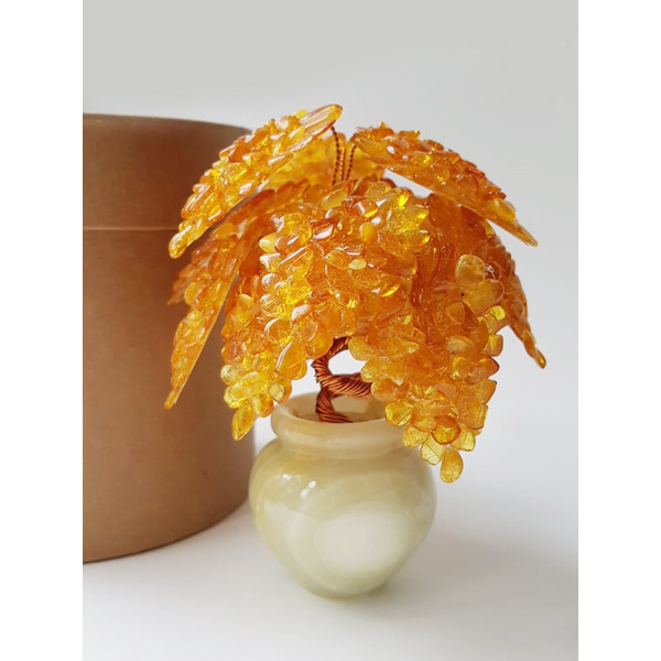 Amber-wood-in-an-onyx-vase.jpg