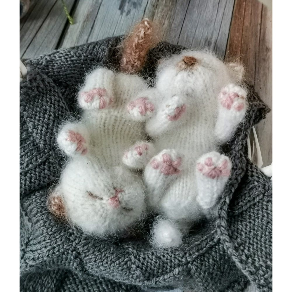 IMG_20200911_115243 (1).jpg