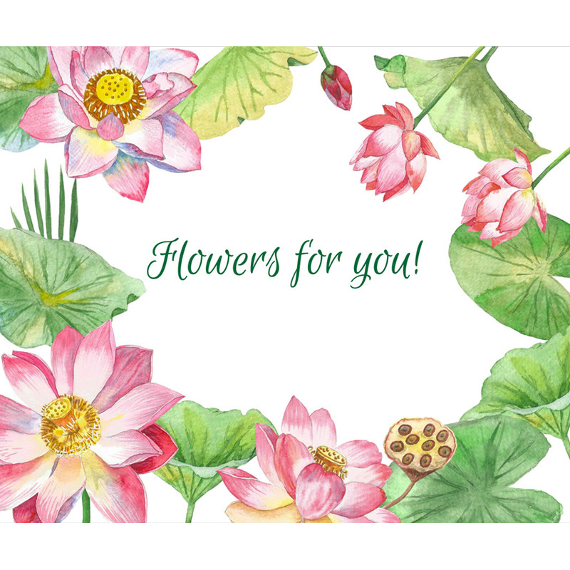 Lotus Flowers. Cover 3_1.jpg