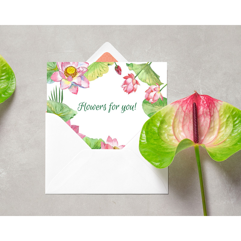 Lotus Flowers. Cover 3_2.jpg