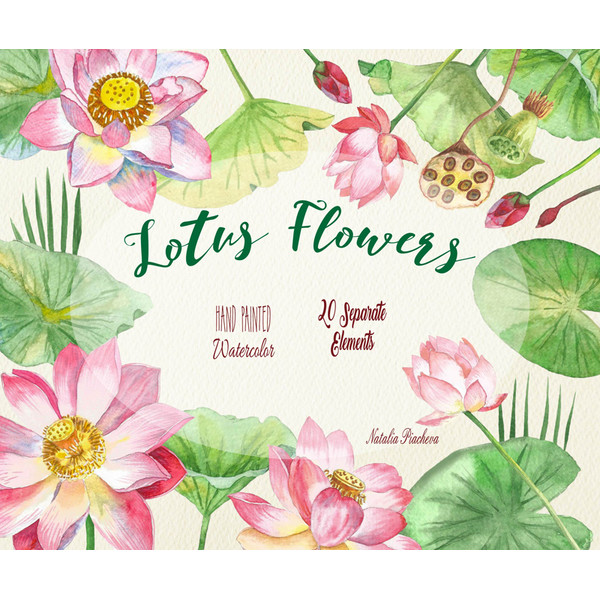 Lotus Flowers.Cover_1_1.jpg