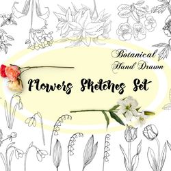 Flowers Clipart, Digital clip art wedding, botanical, sketches, summer  floral. Instant download, clip art