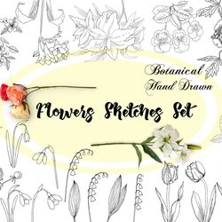 flowers clipart, digital clip art wedding, botanical, sketches, summer  floral. instant download, clip art