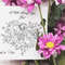Flowers Sketches cover 6.jpg