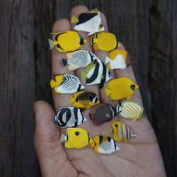 Collection of Various Miniature Clay Butterflyfish of the World, tiny fish for diorama or dollhouse aquarium