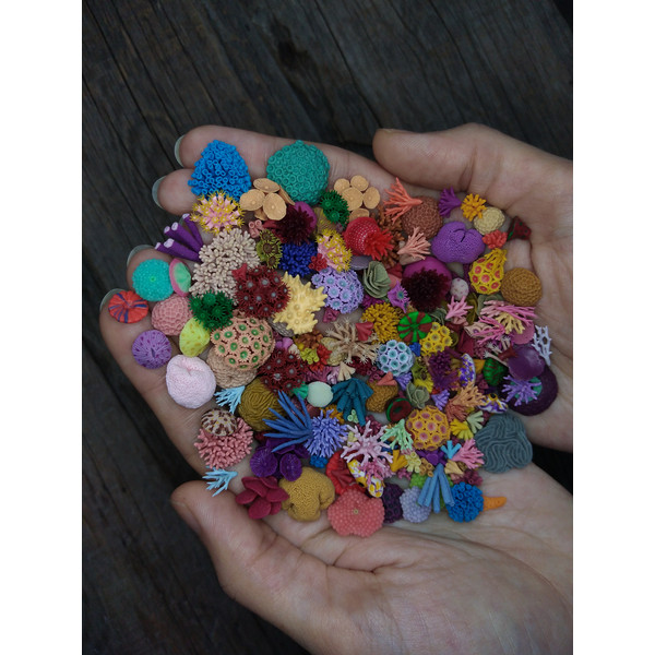 set-of-miniature-corals-1.jpg