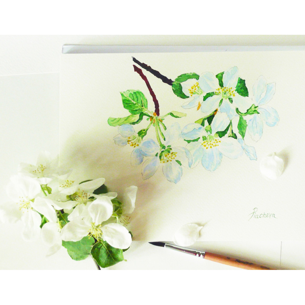 Lilac Spring Garden cover 5_1.jpg