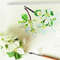 Lilac Spring Garden cover 5_1.jpg