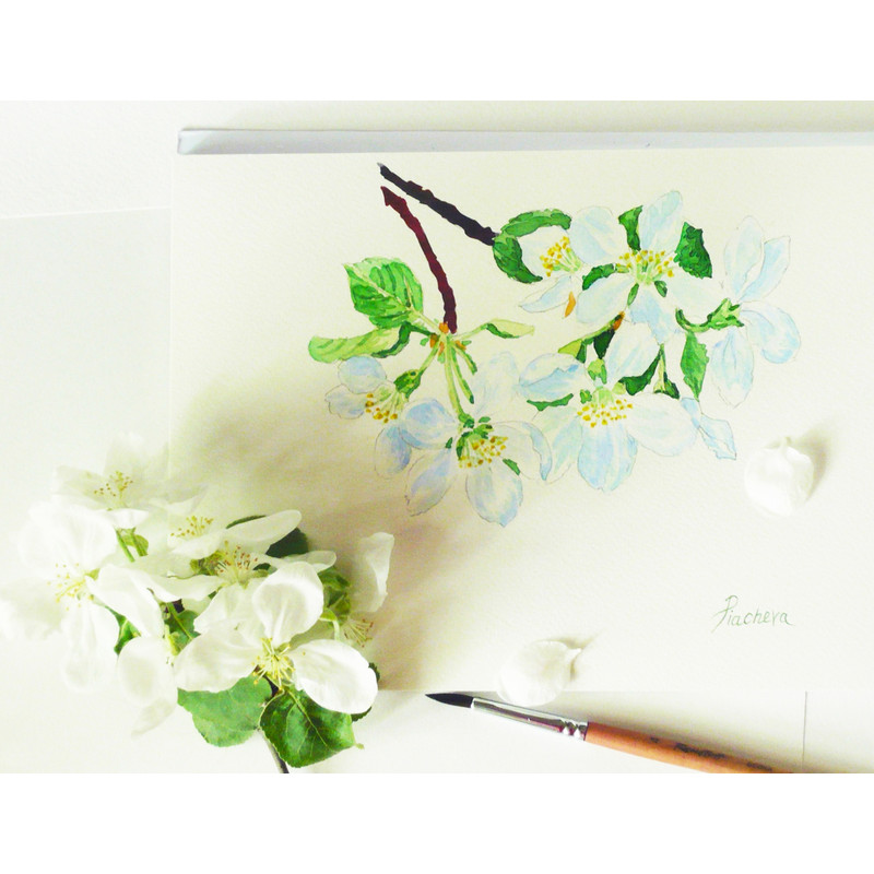 Lilac Spring Garden cover 5_1.jpg