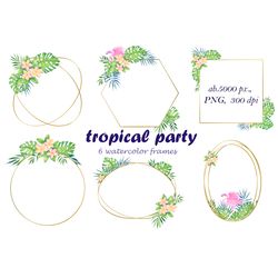 golden frames with tropical flowers clipart png