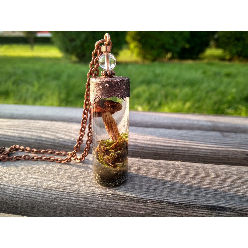 mushroom in resin necklace.jpeg