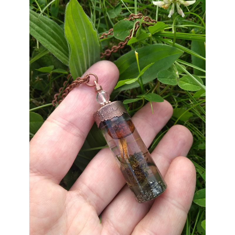 mushroom in resin necklace_____.jpeg