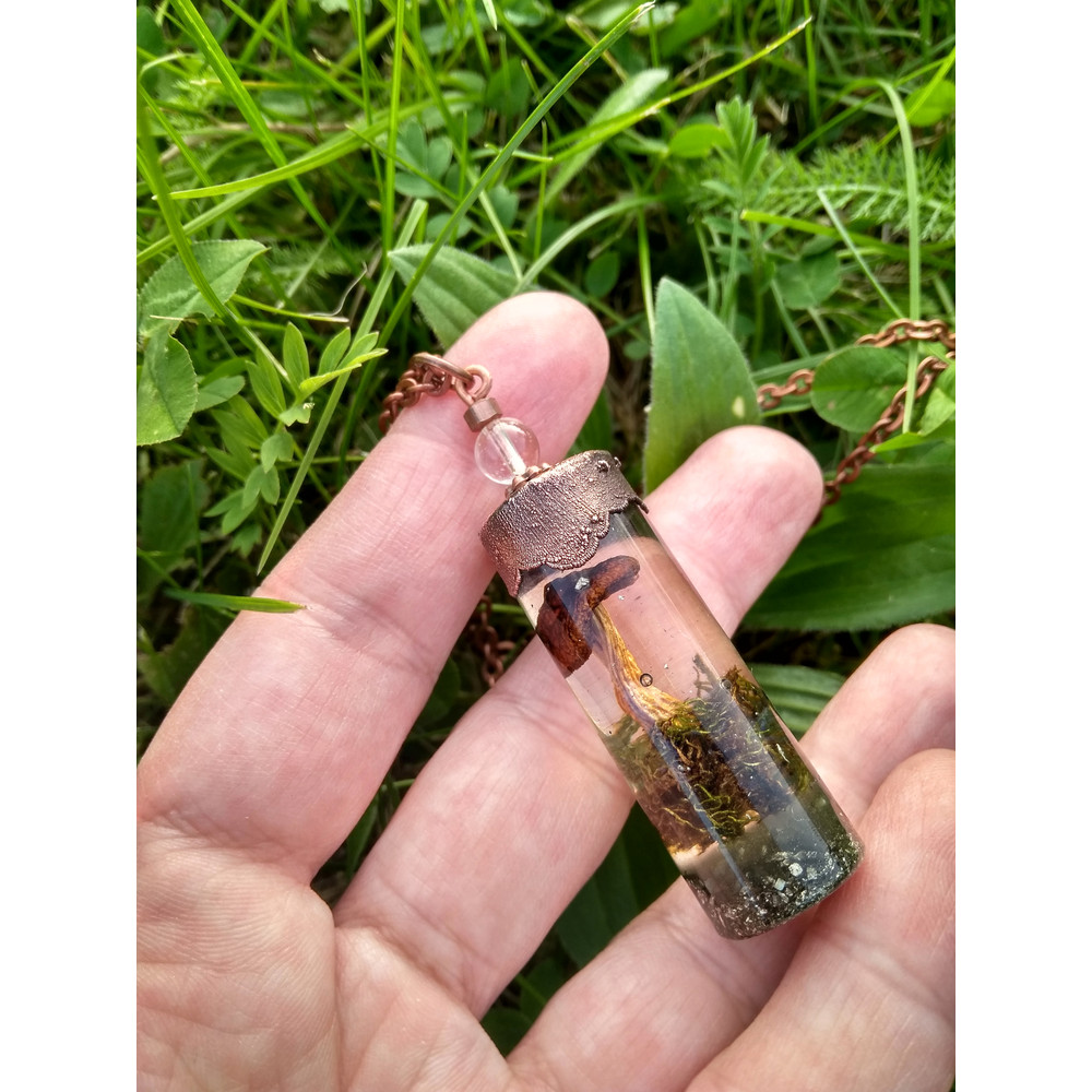 mushroom in resin necklace_______.jpeg
