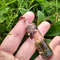 mushroom in resin necklace_______.jpeg