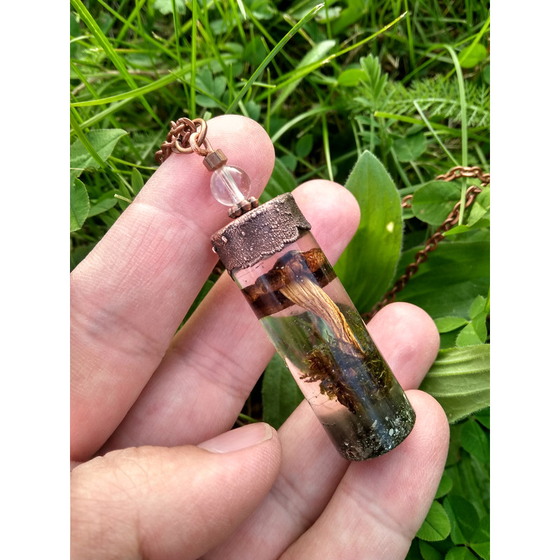 mushroom in resin necklace________.jpeg