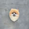 Personalized pomeranian spitz dog brooch (4).JPG