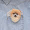 Personalized pomeranian spitz dog brooch (8).JPG