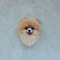 Personalized pomeranian spitz dog brooch.JPG