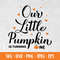 Pumpkin030---Mockup1.jpg