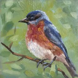 Sialia Bird Painting Animal Original Art Fauna Artwork Small Oil Order Painting by Svetlana
