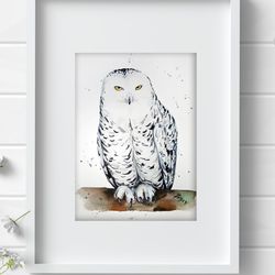 White owl bird 7x10 inch original painting the white - faced owl art by Anne Gorywine