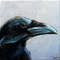 crow 07.jpg