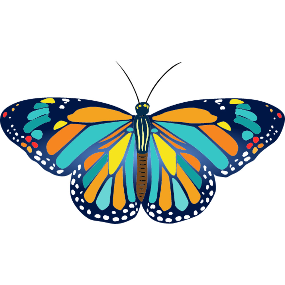 Butterfly.png