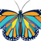 Butterfly.png
