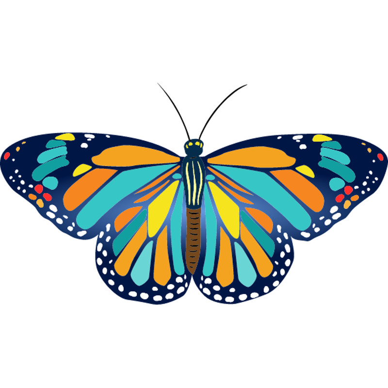 Butterfly.png