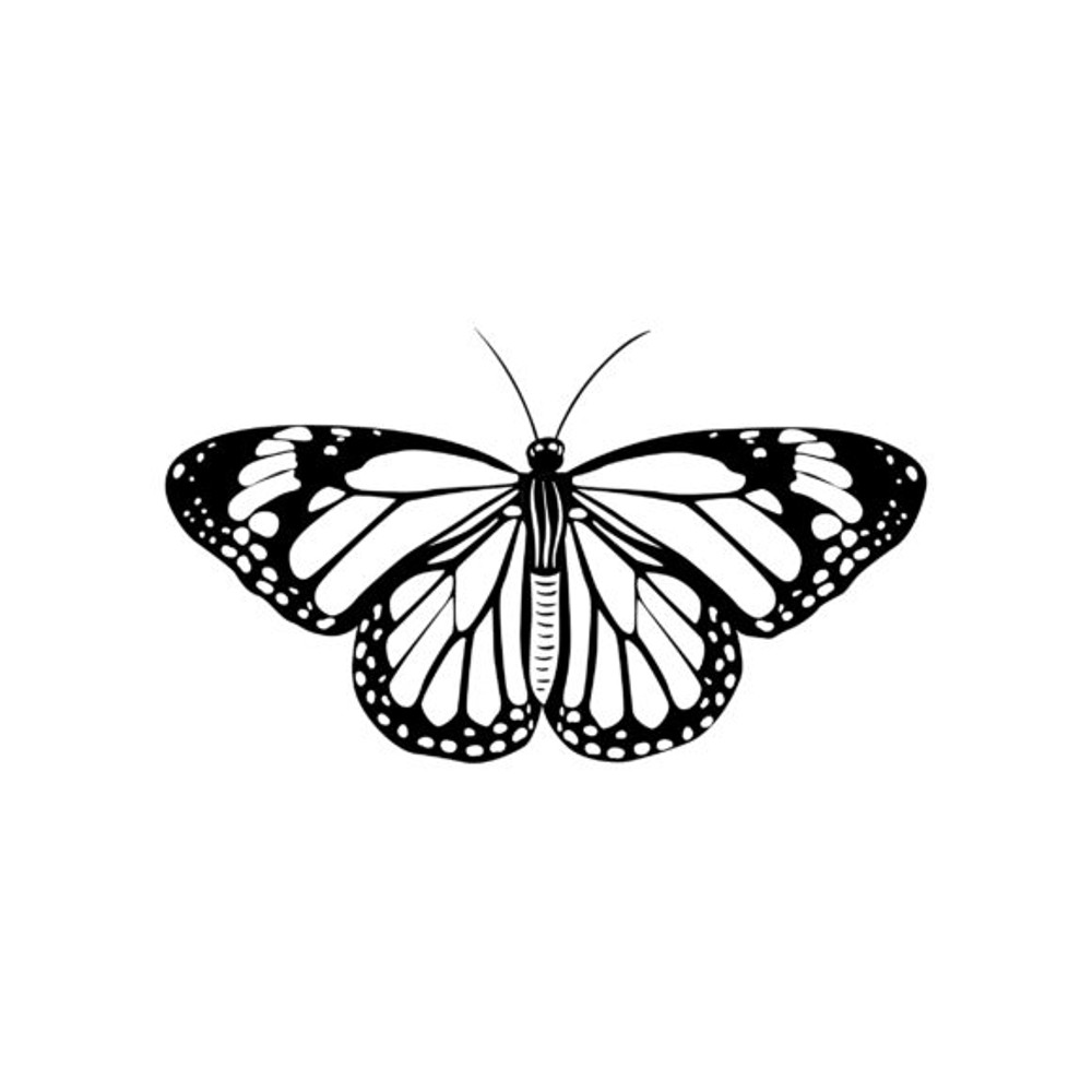 Butterfly-black-580x386.jpg