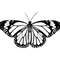 Butterfly-black-580x386.jpg