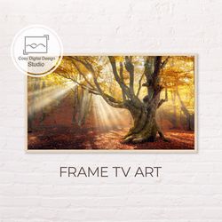 samsung frame tv art | 4k autumn landscape trees art for the frame tv | digital art frame tv