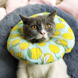 Cat Recovery Collars Soft Adjustable Cones After Surgery for Puppies and Kittens