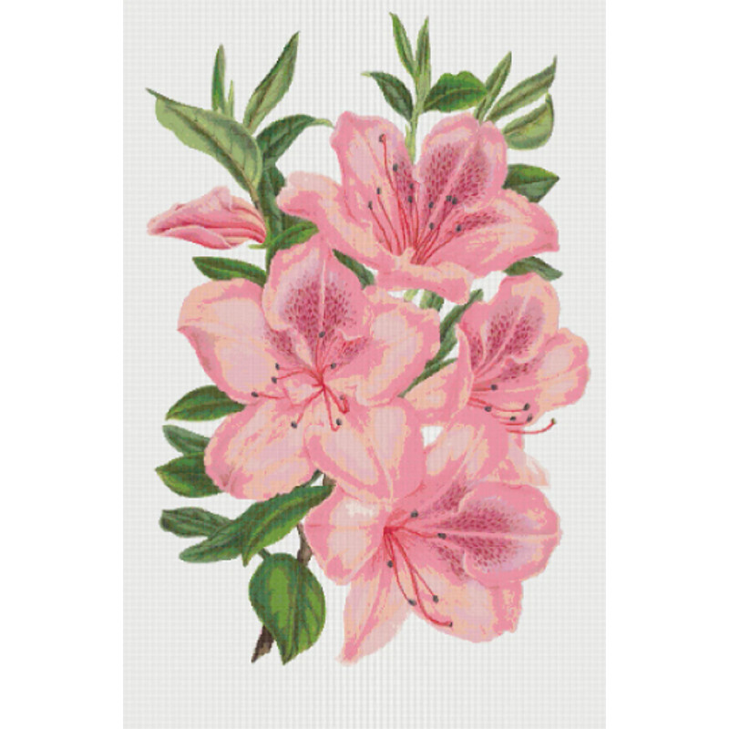 Без названия (4).png