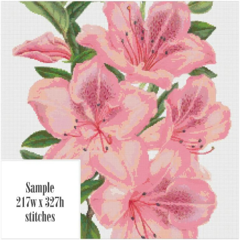 Без названия (9).png