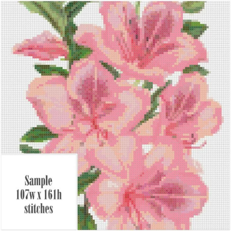 Без названия (12).png