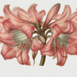 Cross Stitch Pattern | Flowers | 6 Sizes | PDF Counted Vintage Highly Detailed Stitch