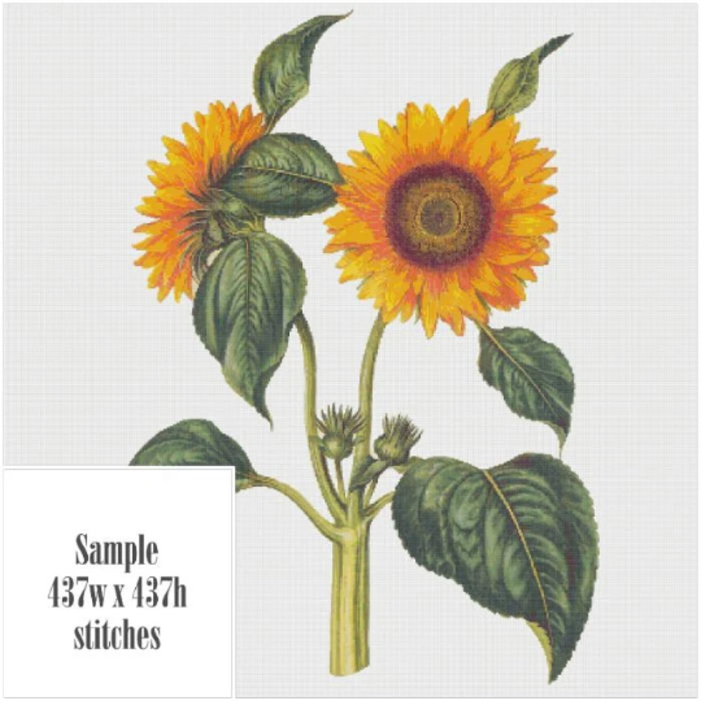 Без названия (6).png