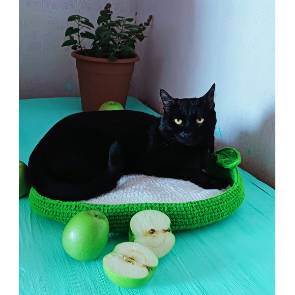 Cat black,cat bed crochet,cat bed crocheting.jpg