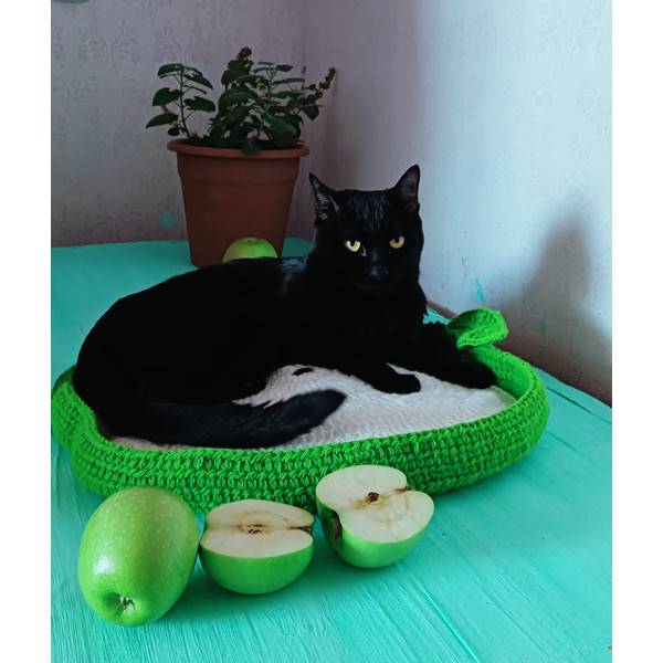 cat black, green apple,cat bed crochet.jpg