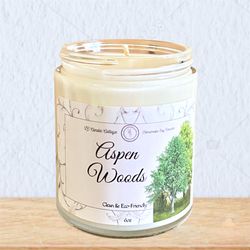 Aspen Woods- Soy Candle- Infused Candles- Vegan Candles- Eco Friendly Candles- Housewarming Candle- Candles for Men