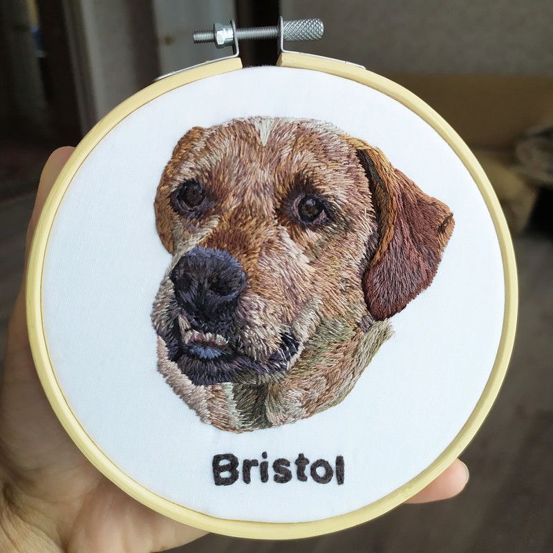 bristol.jpg
