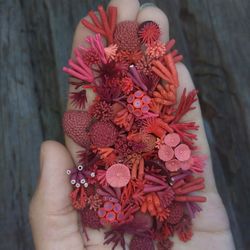 Set of miniature corals shades of red, tiny corals for diorama, resin art , display or dollhouse aquarium