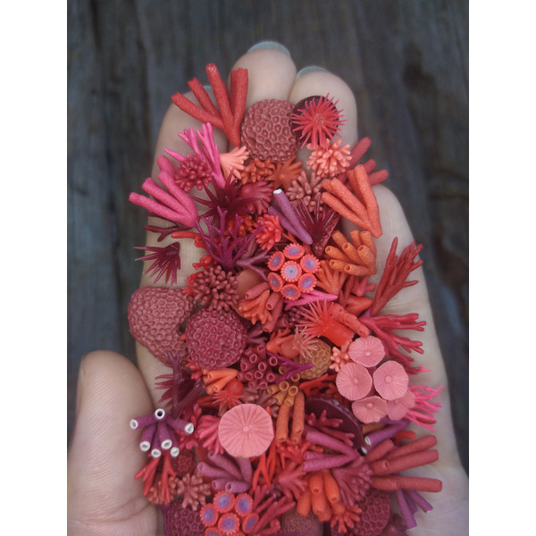 tiny-corals-for doll- aquarium-1.jpg